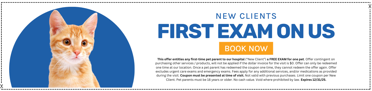 free exam Banner