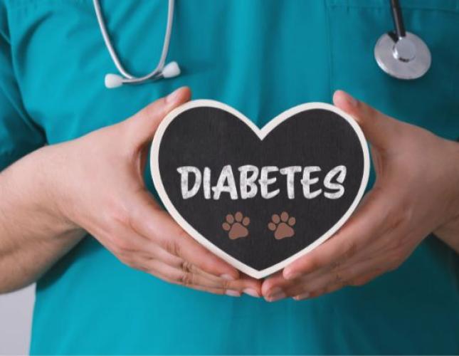 Demystifying Diabetes in Pets: A Guide for National Pet Diabetes Month